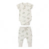 Organic Short Sleeve Romper & Pants Set - Turtles - Makemake Organics