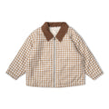 Oat Gingham