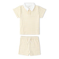 Dotty Gingham