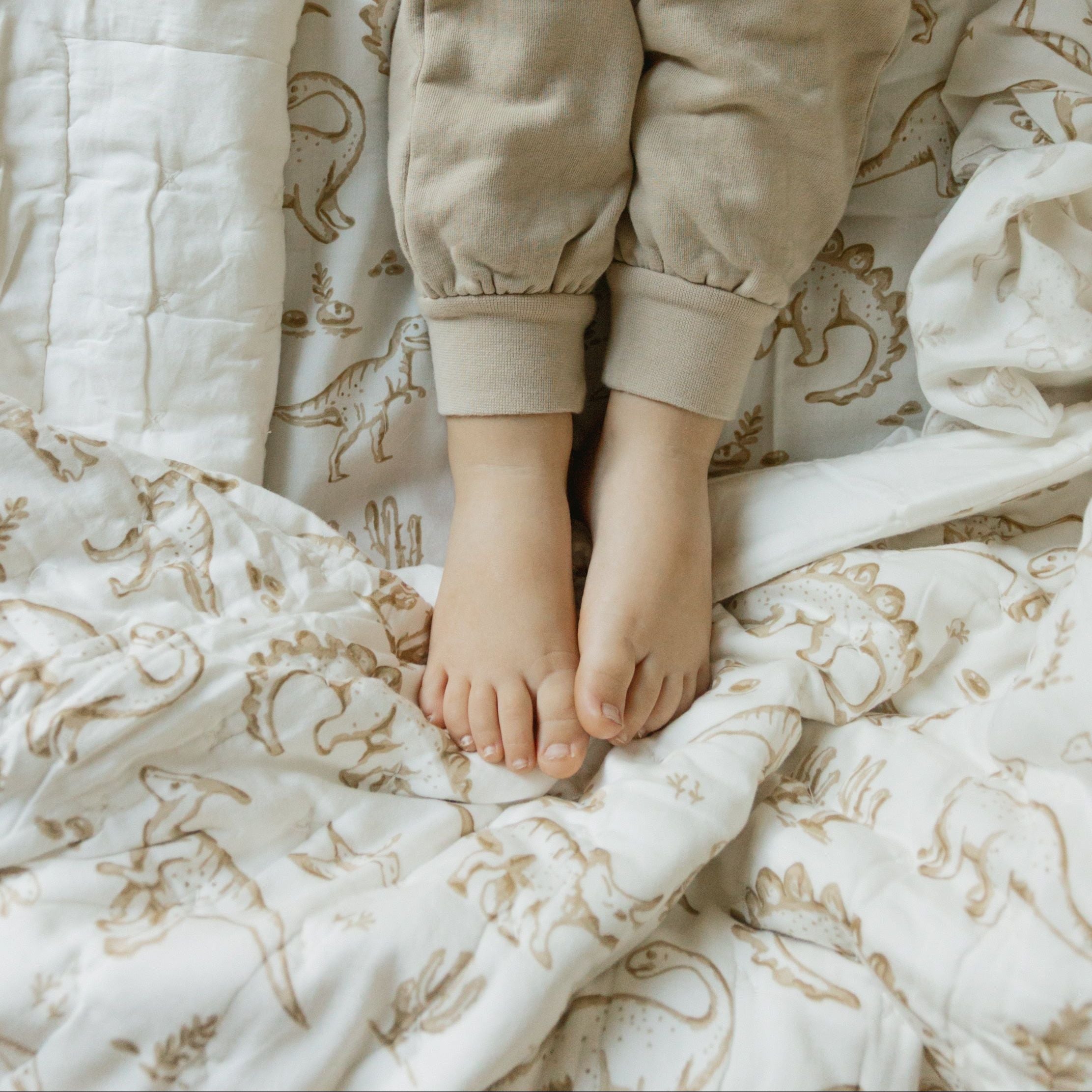 Organic Duvet Cover - Dino Dreams - Makemake Organics