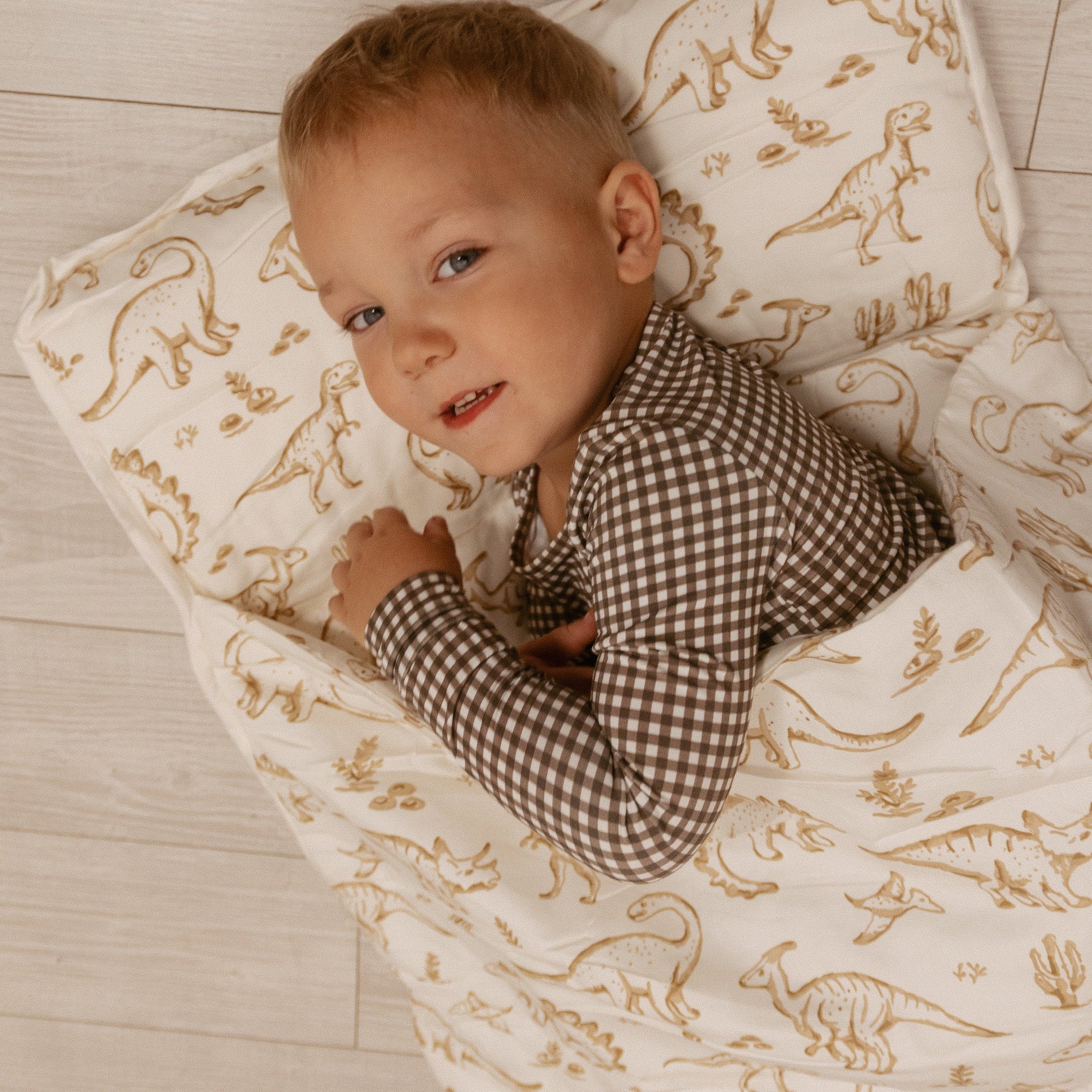 Organic Cozy Comfort Nap Mat - Dino Dreams - Makemake Organics