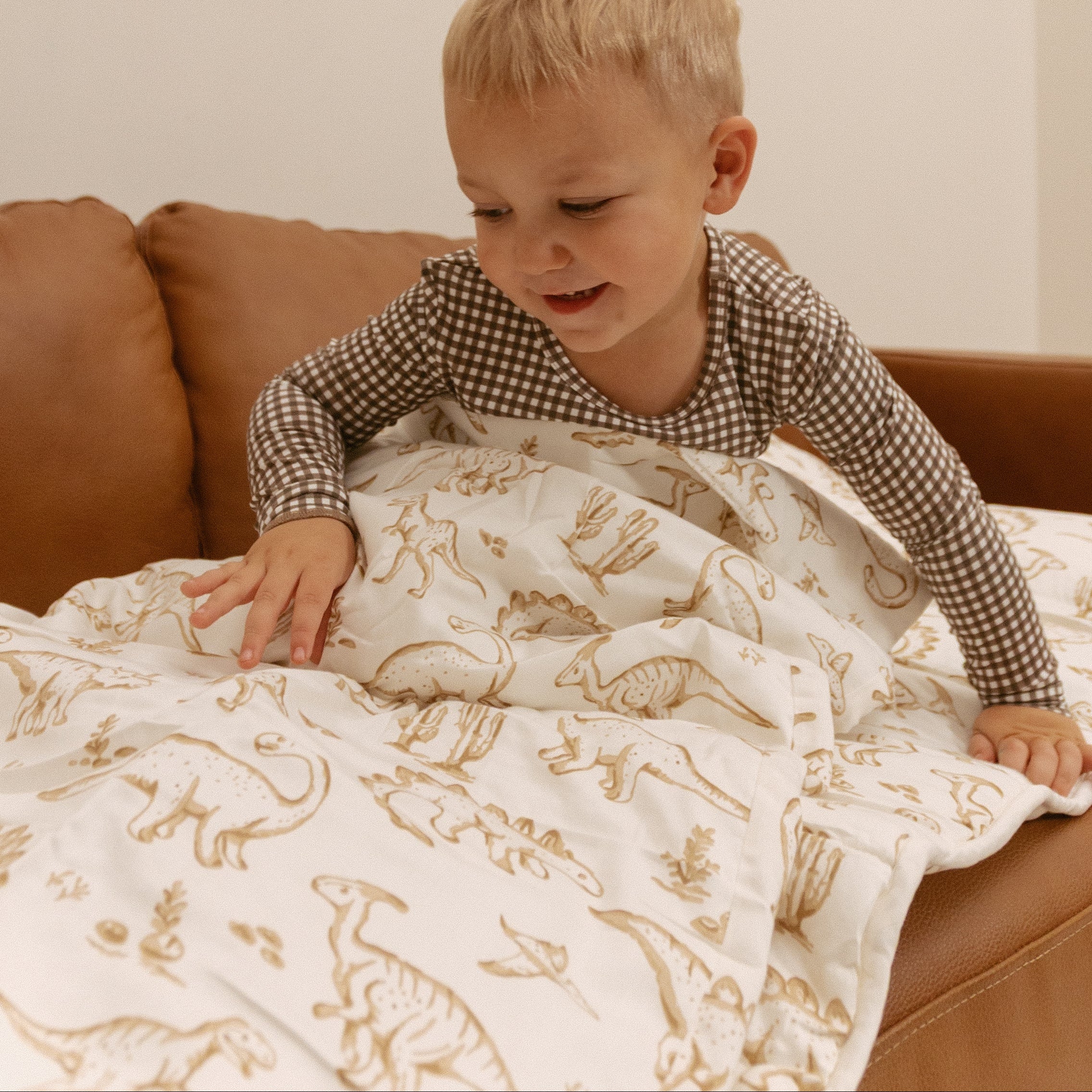 Organic Cozy Comfort Nap Mat - Dino Dreams - Makemake Organics