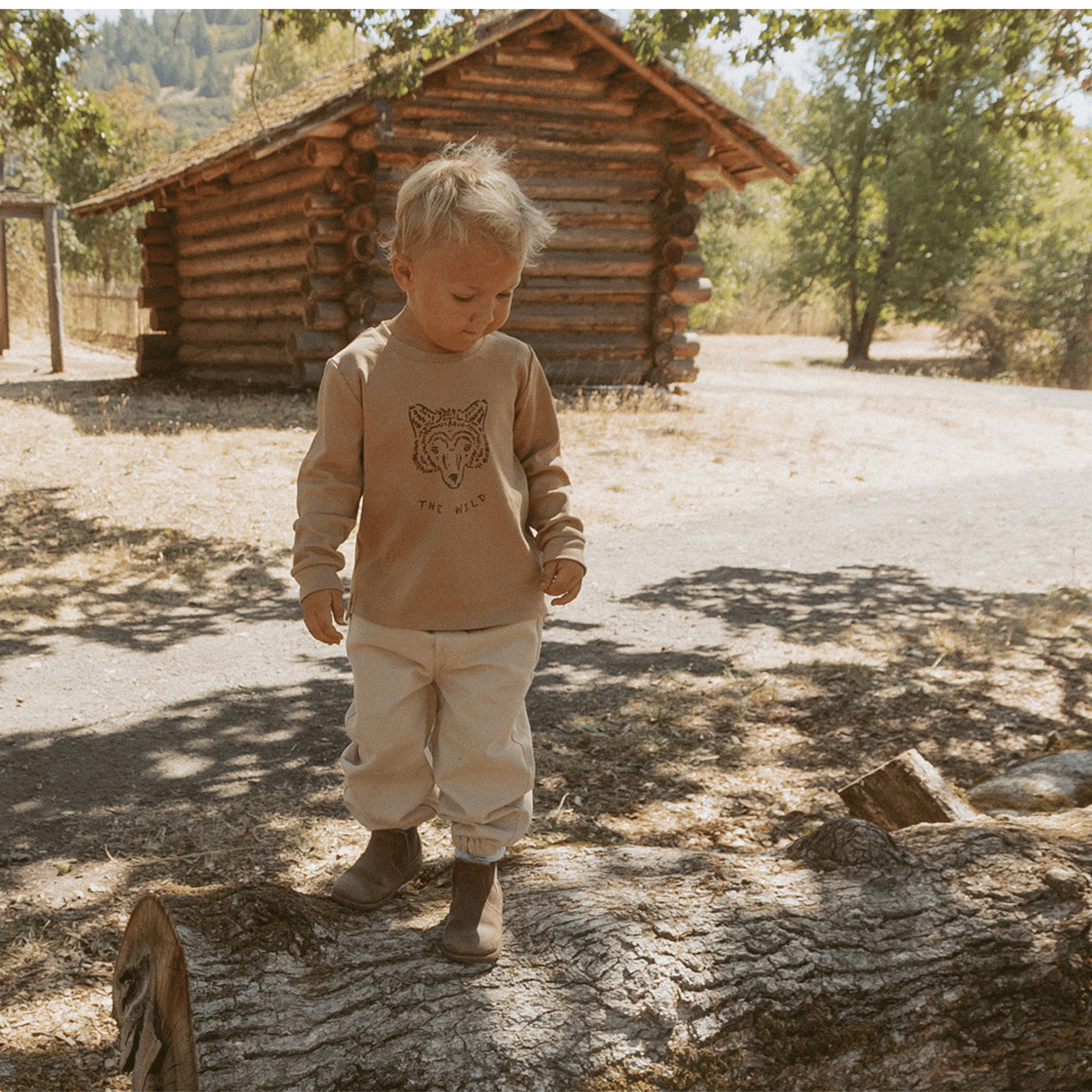 399_b2f2c899-e282-4b98-8e84-9c0644b084cd.png