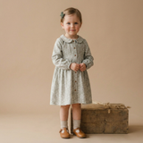 Organic Collared Dress - Wildsage