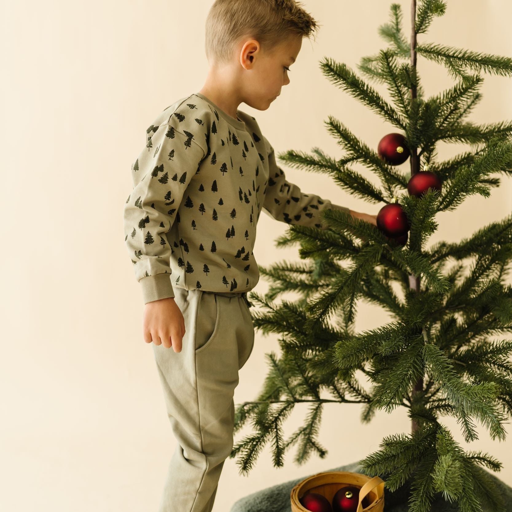 Organic Fleece Sweatshirt - Alpine - Makemake Organics