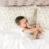 Organic Toddler Pillowcase - Dino Dreams - Makemake Organics