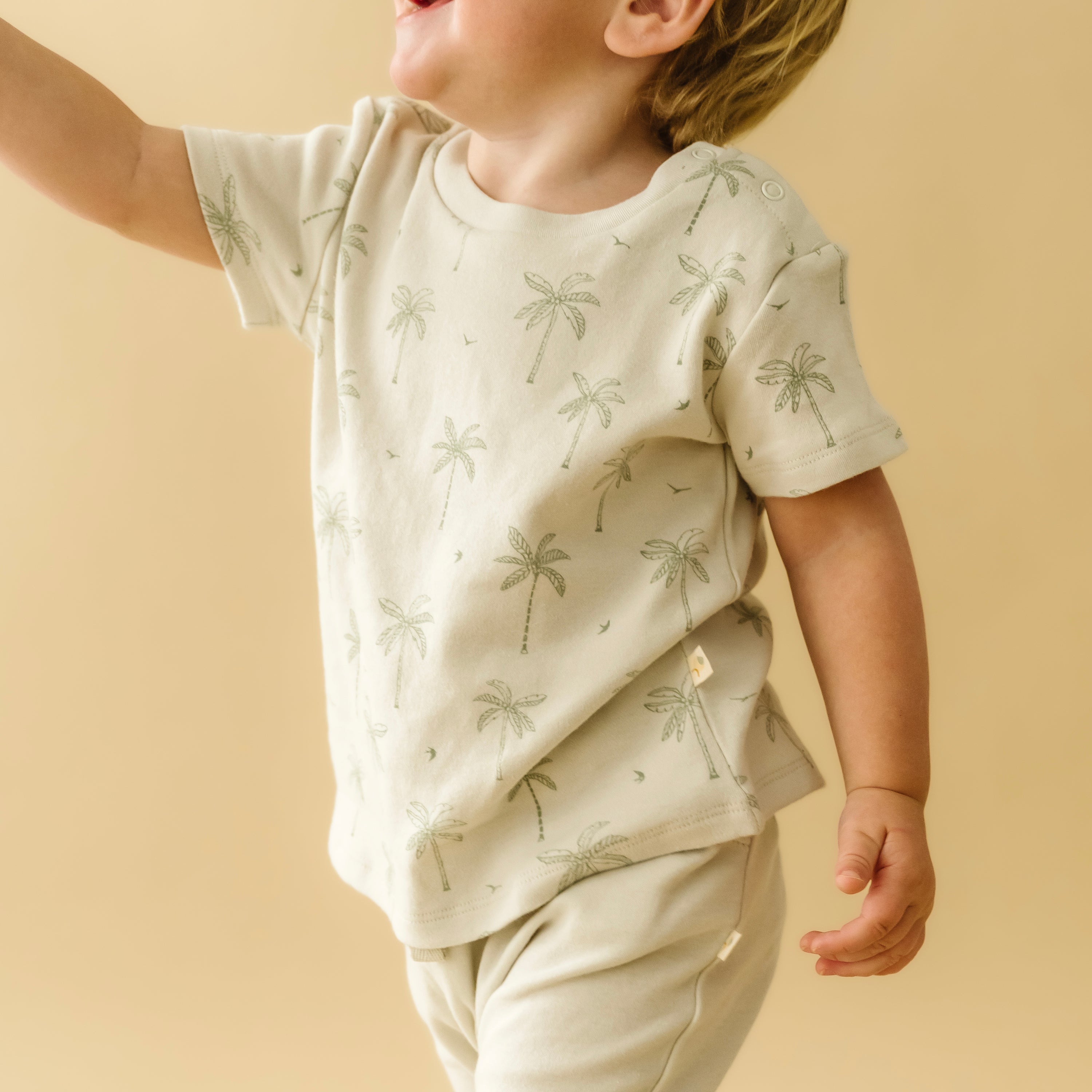 Organic Baby Toddler Tee & Pants Set - Tropical - Makemake Organics