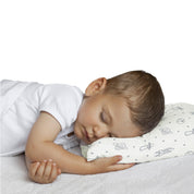 Organic Toddler Pillowcase - Astro - Makemake Organics